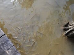 -海珠湖公园