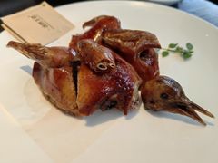 -甄御•海鲜新青岛菜(麦岛店)