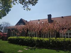 -金桥现代产业园区-停车场