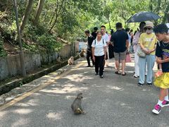 -黔灵山公园-南门售票处