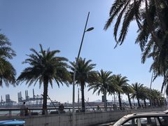 -新金盛·海鲜酒楼(盐田店)