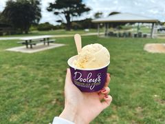 -Dooley's Premium Ice Cream