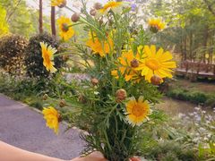 -桤木河湿地公园