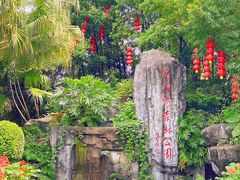 -广州市流溪河国家森林公园