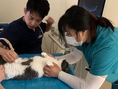 -美迦爱-牙专科·兔科·骨科诊疗中心(北苑店)