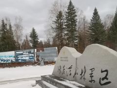 -峡谷浮石林景区