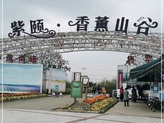 -紫颐香薰山谷景区