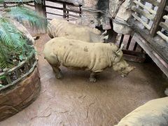 -长鹿旅游休博园