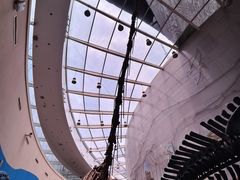 -陕西自然博物馆