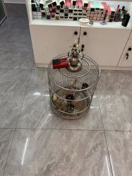 -渲格造型
