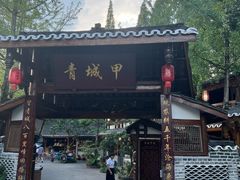 -青城甲(青城山店)