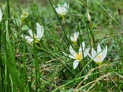 -苏州碑刻博物馆