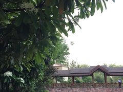 -思念果岭悦温泉