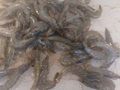 -圣罗巴海鲜烤肉自助(佳兆业店)