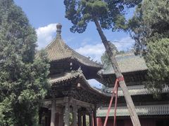 -报恩寺(平武县)