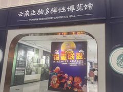 -花之城