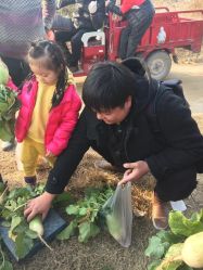 -上美四季动物农场