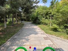 -北陵公园