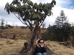 -硗碛藏寨·神木垒景区