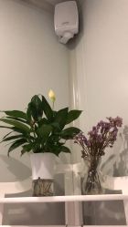 -苑苑vbeauty科技美容SPA