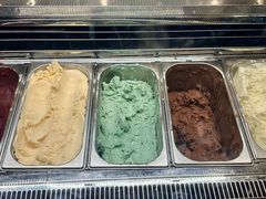 -极拉图·现制冰淇淋(大卫城店)