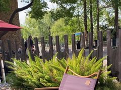 -J Create城市露营咖啡·简餐·宠物(上海动物园店)