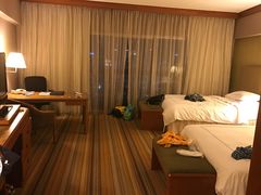 -新加坡瑞士史丹福酒店