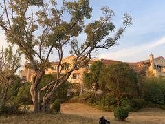 -上海崇明金茂凯悦酒店