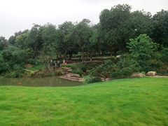 -张坝桂圆林公园