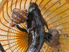 -鑫鸿达·海鲜闽菜热炒小馆(中山路店)