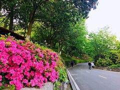 周边环境-上海市保健医疗中心(华东疗养院)