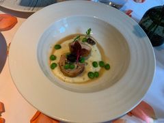 -蝶舍·MAISON PAPILLON