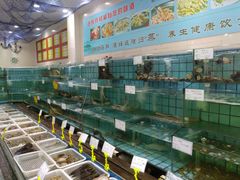 水产区-海岛渔村大酒店(云霄路店)