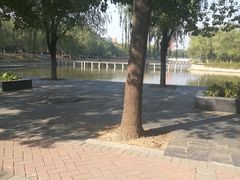 -安徽大学(磬苑校区)
