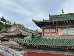 -塔尔寺-菩提树