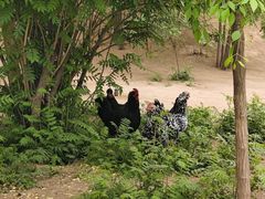 -森林公园(尖草坪区)