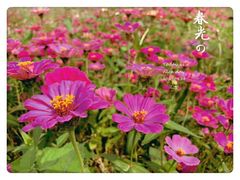 -石峰岩寺