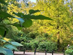 -国家植物园南园