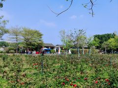 -海珠湖公园