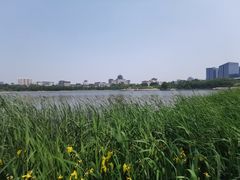 -莲花池公园