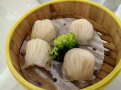 圣丰虾饺皇-圣丰城酒家·宴会(宝安大仟里店)
