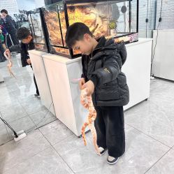 -神奇动物撸宠馆·羊驼·小浣熊·异宠(豫园店)