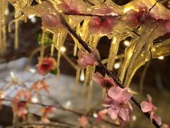 -清花阁乌拉满族火锅(厦门街店)