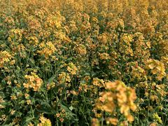 -中国天府农业博览园