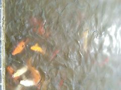 -嬉乐湾休闲旅游区