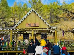 -莫尔道嘎国家森林公园