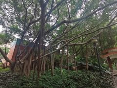 -江头公园