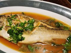 -前海沿·青岛菜(大拇指广场石老人店)