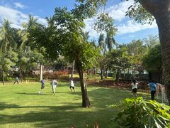 -三亚湾海居雅高铂尔曼度假酒店