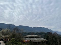 -碧峰峡风景区